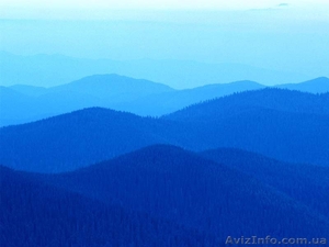 Сдам комнату для 2х чел в комуналке соломенка #39478