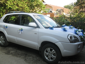 Услуги перевозки на  Tucson #41264