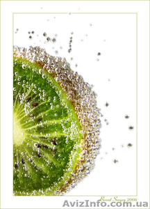 Студия праздника 