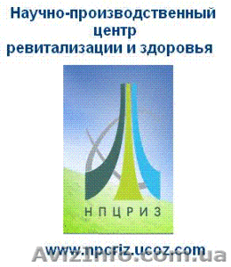 Директор дилерского центра #42014