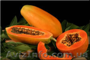 Папаин (Carica papaya L.) #43997