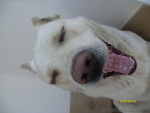 всегда готов встретиться #38108