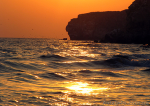 Разнообразный отдых на Крымском побережье !!! #40005