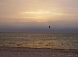 Продам участок на берегу Азовского моря #57599