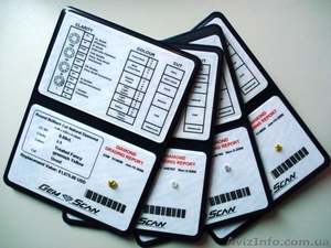 Бизнес с многолетней историей #51255