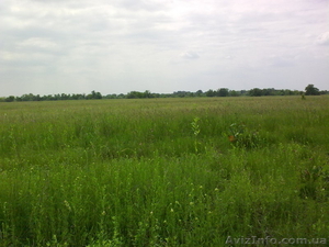 участки под Киевом #60054