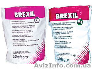 Повышение всхожести семян #50204