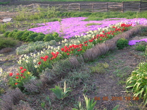 Благоустройство территорий #52736