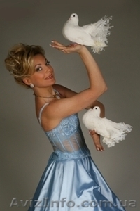 праздник,  торжество,  свадьба,  юбилей #58419