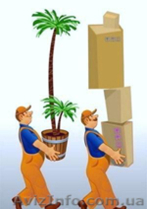 Квартирный переезд по Киеву 353-15-29, перевезти квартиру Киев грузчики #56742