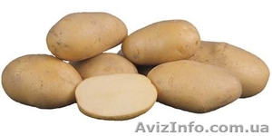 Выращиваем и реализуем,  овощи #52133