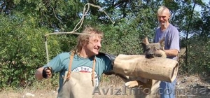 собаки рабочего разведения #48204