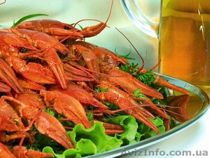 ПРОДАЖА РАКОВ от 15 кг в день. 70 грн за 1 кг. #58443