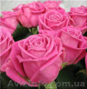 Фаберлик косметика #53359