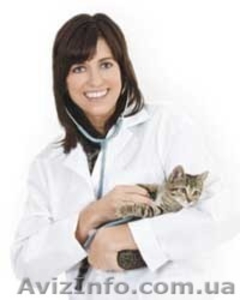 Ветеринарная клиника ВетМир. Ветеринарные услуги в Полтаве. #59739