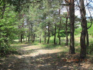 Участок в Обуховке (Кировское) #57381