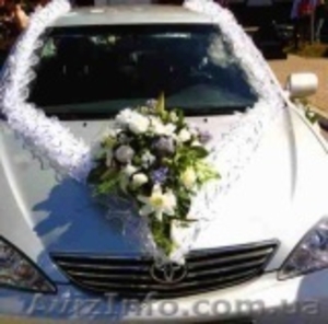 Флористика г. Днепропетровск #60203