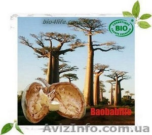 Баобаблайф-натуральный пребиотик #71791