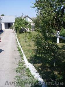 Продам будинок в с.Маків #67947