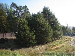 Продам дом село Миргороды #71168