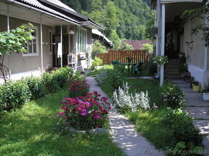 Ландшафтный дизайн Днепропетровск. Рулонные газоны #72069