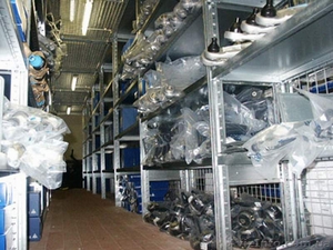  Honda, Mazda, Toyota,  Mitsubishi, Subaru, Nissan  #5094