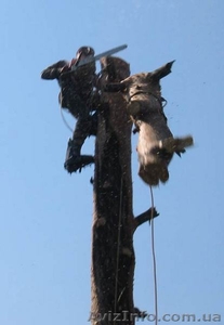 удаление деревьев киев 233 03 70 #60554