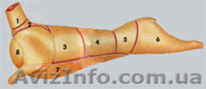 Продам баранов, овец 