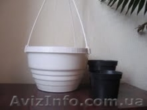 горшки для вечнозеленых #72614