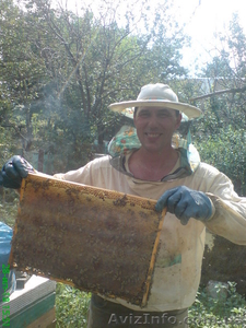 Продам мёд          #62542