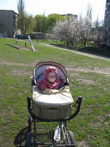 коляска 2n1 карина #69506