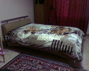 ............... #62484