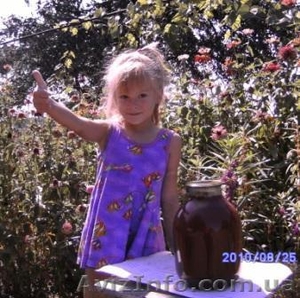 Продам томатный сок домашнего приготовления  #70931