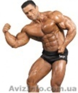 грузчик/разнорабочий #73078