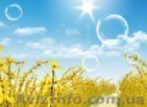 Регистрация ООО #64811