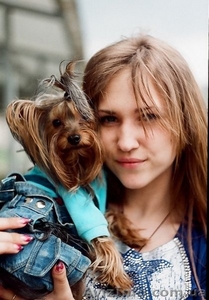 Вязка йоркширского терьера (мини),  Кривой Рог (300 грн) #71495