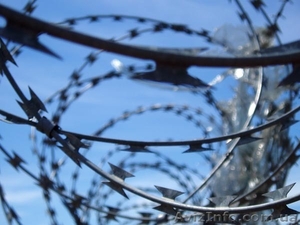 Сетка строительная от производителя #87467