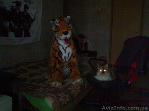 Большущая,  мягкая,  новая игрушка - ТИГР(ГОД ТИГРА). #87336