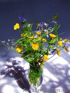 Оригінальні привітання на українській та російській мовах  #80815