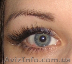 Наращивание ресниц  премиум-класса Позняки Харьковская Осокорки #78799