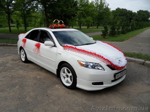 Белоснежные Toyota Camry Hybrid  и Hyundai Tucson обслужат Вашу свадьбу или торжественное событие в г. Николаев и г. Херсон #87490