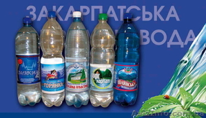 ЗАКАРПАТСКАЯ МИНЕРАЛЬНАЯ ВОДА #83462