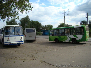 41 сотка под застройку,  идеально под таунхауз в Гостомеле. #77973