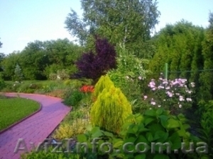 Ландшафтное бюро 