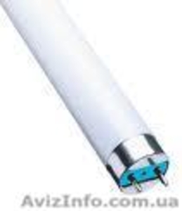 Продам люминисцентные лампы. #79682