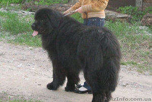 Епифанова Ангелина  angelok1992@i.ua #80188