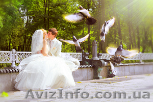 Стильное свадебное фото и не только... #86893