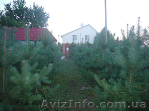 Сдам дом Святогорск #78634