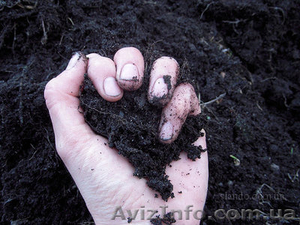 Песок,  щебень,  отсев,  цемент Днепропетровск  #80539