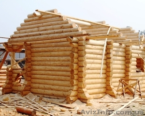 Срубы домов и срубы бань с доставкой и установкой по всей России #79152